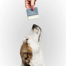 Load image into Gallery viewer, Wow Solid Shampoo for Dogs