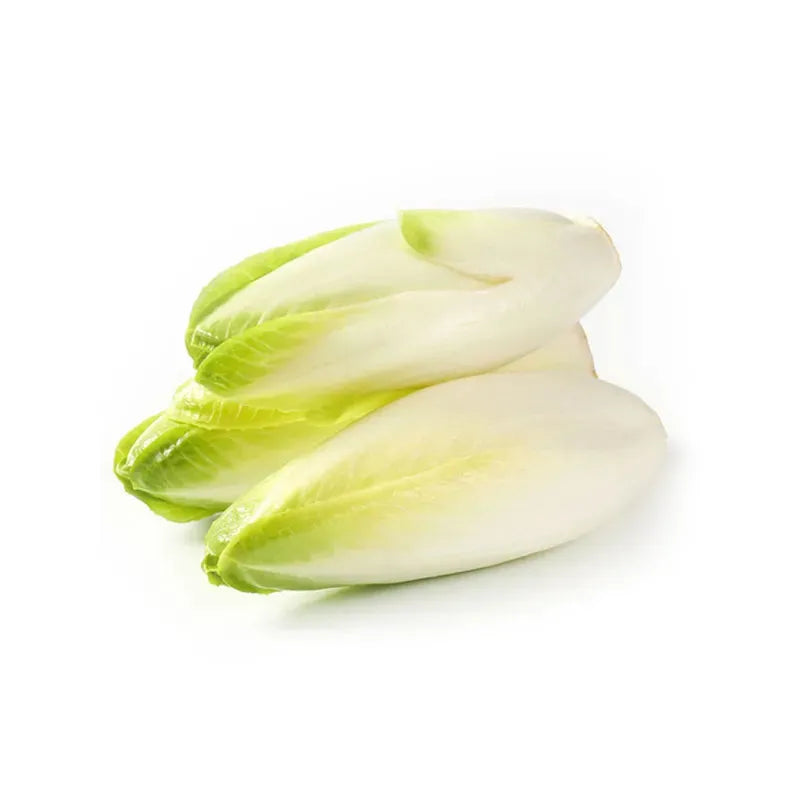 Fresh Endive The Health Store