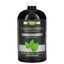 Load image into Gallery viewer, Nature&#39;s way Chlorofresh Liquid Chlorophyll Unflavored 480ml
