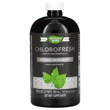 Load image into Gallery viewer, Nature's way Chlorofresh Liquid Chlorophyll Unflavored 480ml