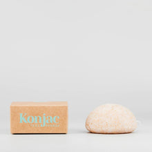 Load image into Gallery viewer, Facial Konjac Sponge with Walnut
